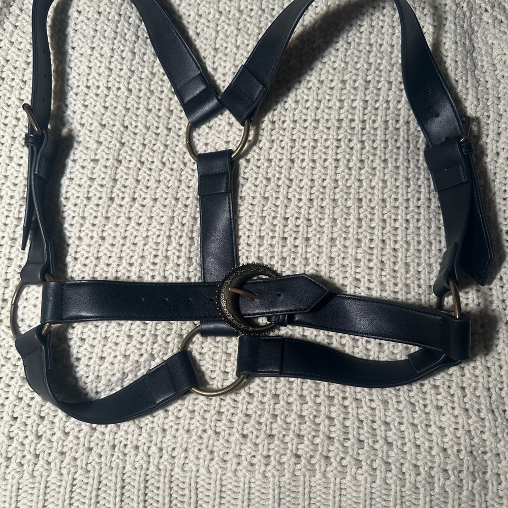 Disturbia Black Leather Sylvie Harness Belt with Antiqued Gold Buckle - Picture 2 of 6